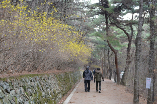 앞산자락길 사본.jpg